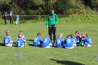 爱游互娱游戏官网-欧洲杯总冠军之争：战术智慧与个人能力的较量，欧洲杯冠军百度百科